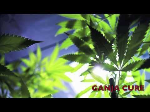 Lu Dottore _Sasa'_Eiggi_Lu Levante - GANJA CURE-