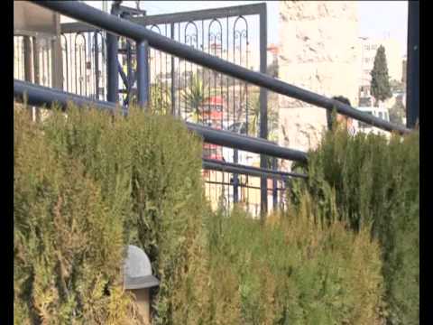 Palestine Red Crescent Society Volunteers