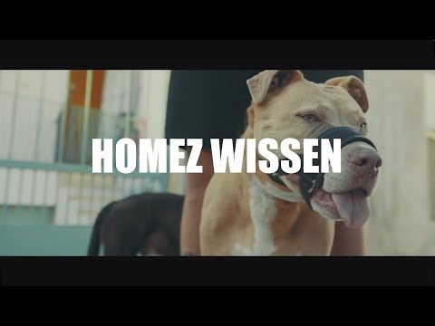 Cashmo ► HOMEZ WISSEN ◄ [Official Video] prod. by Cashmo