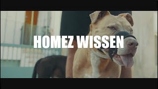 Cashmo ► HOMEZ WISSEN ◄ [Official Video] prod. by Cashmo