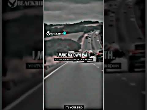 sigma rules 😎🔥  ~  #073