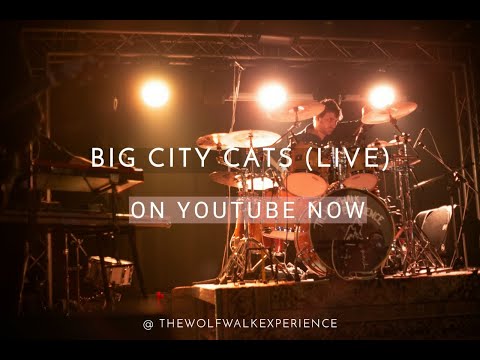 The Wolfwalk Experience - Big City Cats (live)