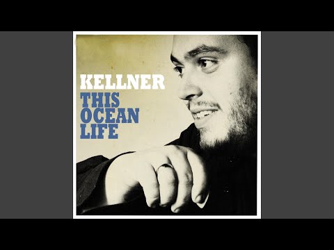 Bees in My Head - Kellner