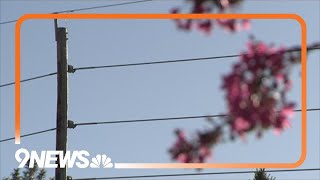 PUC holding meeting Wednesday to discuss Xcel power outages