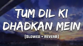 Download lagu Tum Dil Ki Dhadkan Mein (Slowed Reverb) 🎧 | Sad Song | Use Headphones mp3 Download lagu Tum Dil Ki Dhadkan Mein (Slowed Reverb) 🎧 | Sad Song | Use Headphones mp3