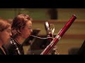 Peter and the Wolf, Bassoon solo