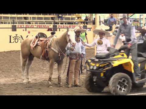EL CAMINO AL FUTURITY - FINAL - Calas de EL CHEQUE, WILDFIRE y EL ANHELO en el Millonario