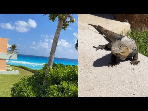 Travel Vlog: 7 days in Cancun Mexico Mexico eat, drink, party & all inclusive