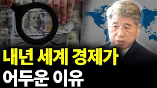내년 세계 경제가 어두운 이유(ft.김경원 교수 1부)