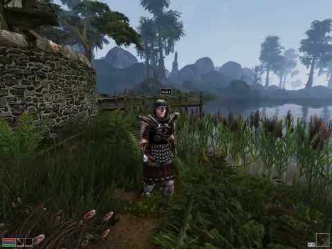 Morrowind Graphic Overhaul 3.0 Max Settings