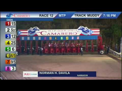 12VA CARRERA 04 12 2021 EL SANTO "COPA CONFRATERNIDAD DEL CARIBE"