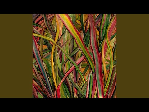 Video thumbnail for Where Wildness Grows