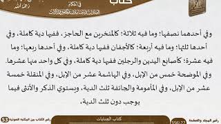 صورة 10 كتاب الجنايات من كتاب نور البصائر والألباب للسعدي