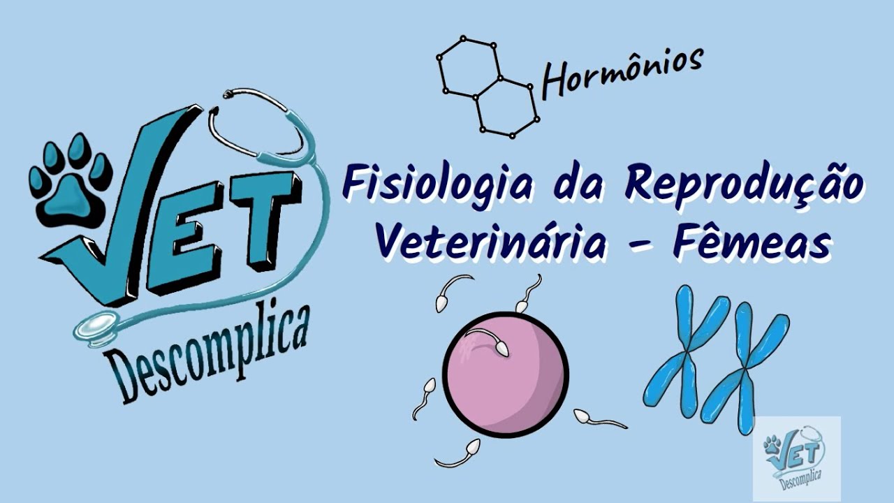 Fisiologia da Reprodução Veterinária - Fêmeas - Vet Descomplica