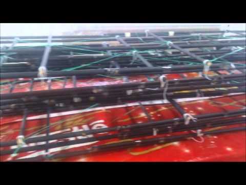 28-12-2014 Turma Tamujuntu  - Sem Fogo 24 Mts