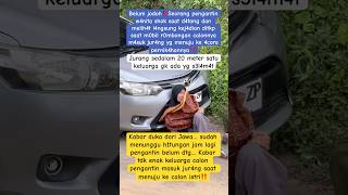 Download lagu 🔴Astagfiruloh belum jodoh Tuhan berkehendak lain‼️ mp3