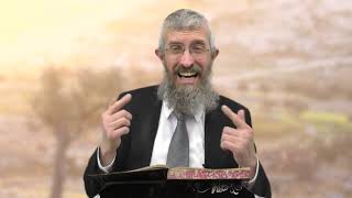 מסכת מנחות דף צח - 8 דקות של לומדות ועמקות בדרך הלימוד הישיבתית [Menachot 98]