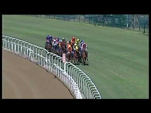 2019.07.06 Gold Vase (RSA) - Walter Smoothie