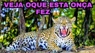 ONA PINTADA (GRAVIDA) INCRIVEL