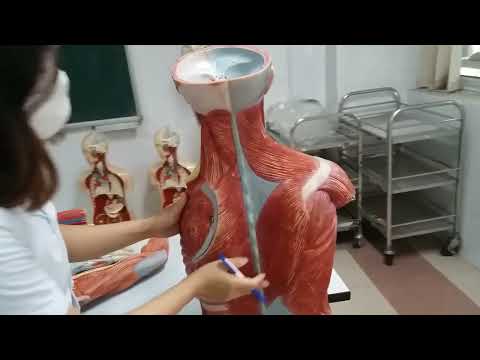 Thực Hành Hệ Cơ