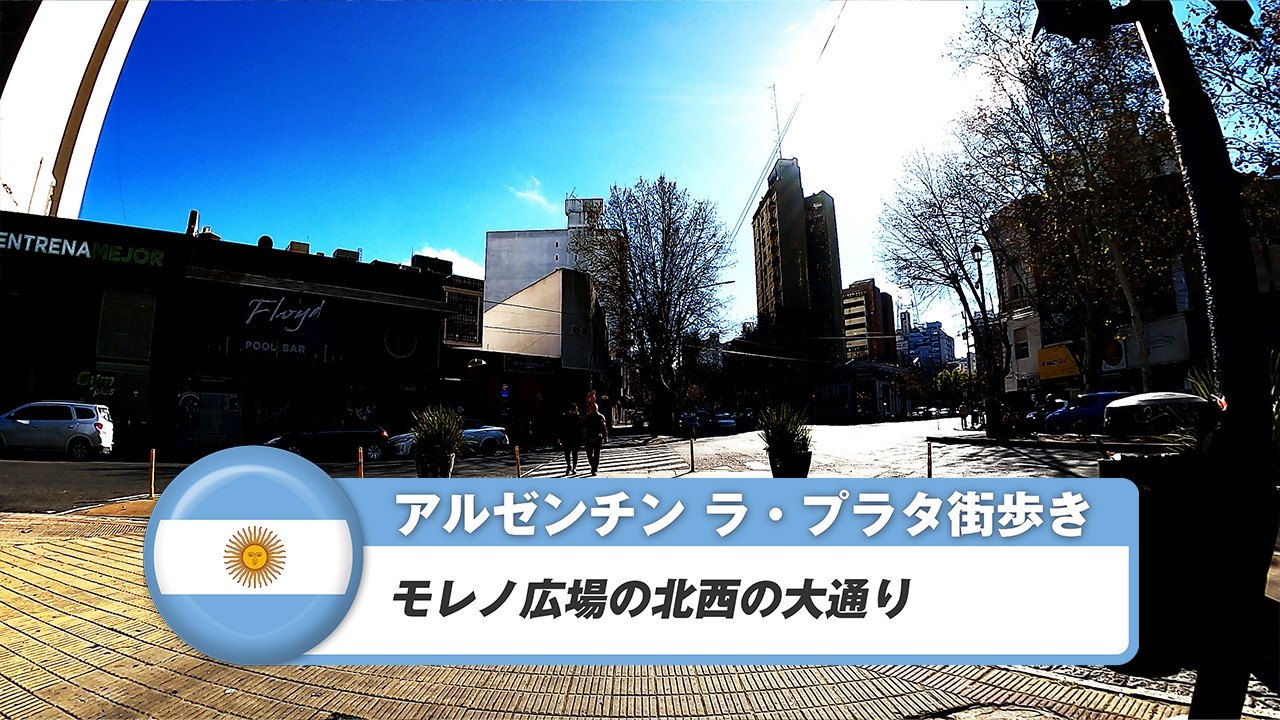 【アルゼンチン】ラ・プラタ⑦モレノ広場の北西の大通り