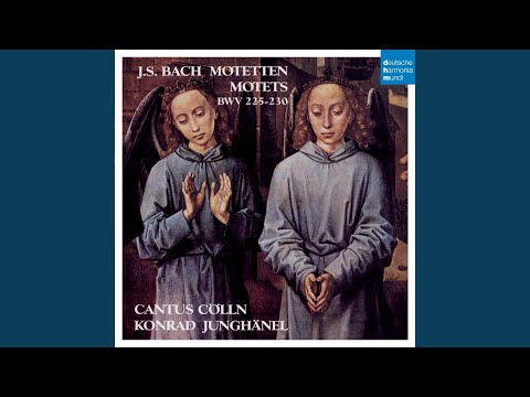 Motets: Komm, Jesu, komm, BWV 229