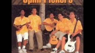 Opihi Pickers - Falling for You