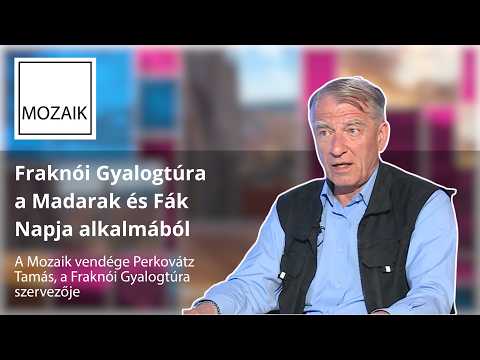 Mozaik – Fraknói gyalogtúra a Madarak és Fák Napja alkalmából