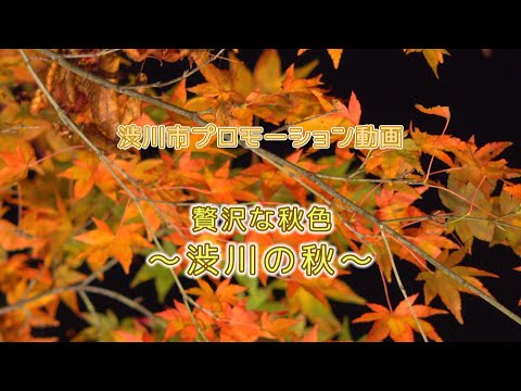 Promotional video for Shibukawa City　Luxurious autumn scenery　Autumn in Shibukawa