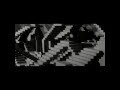 ORCHIDÉE NOIRE - Détritus 