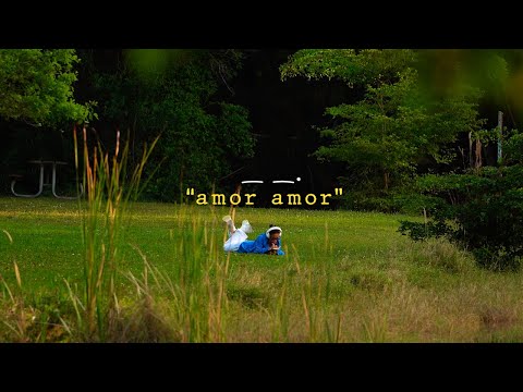 The Change - amor amor (Visualizer)
