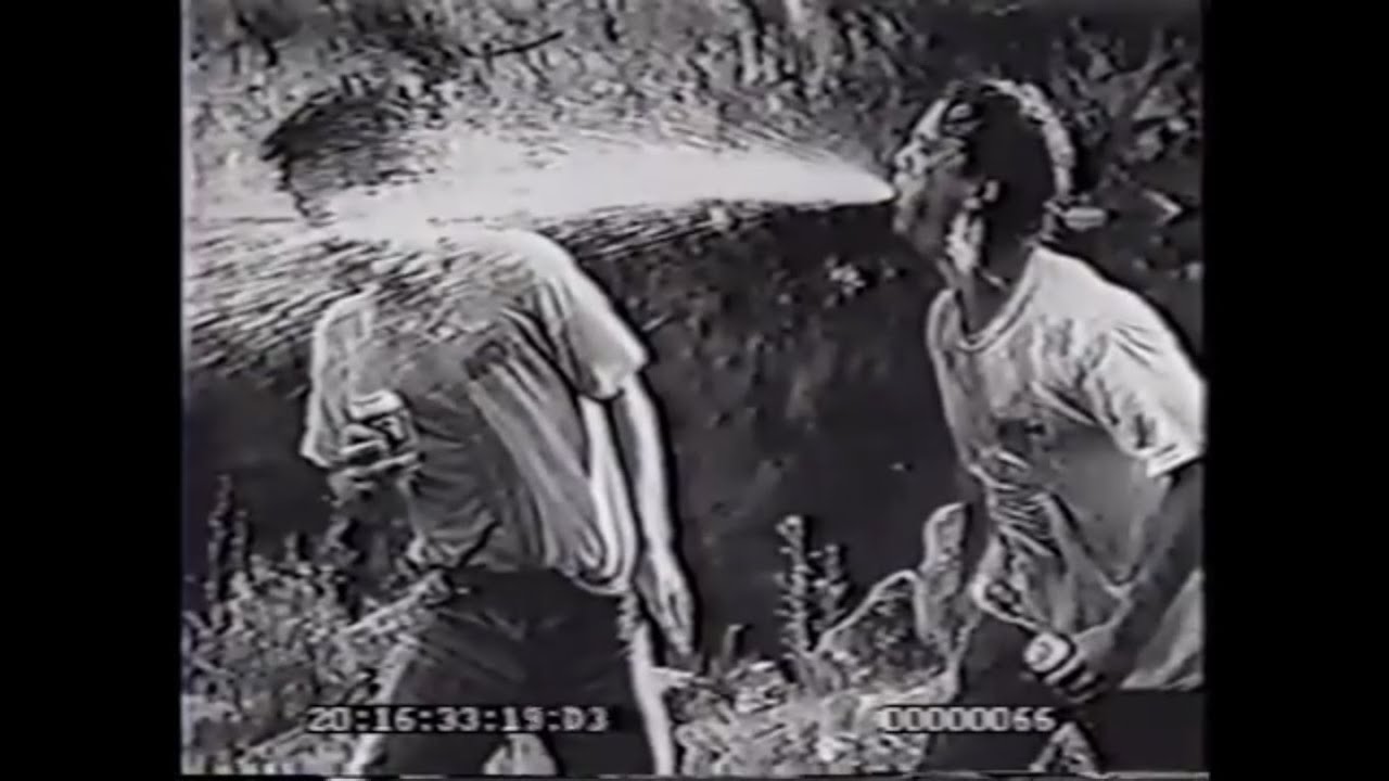 Fan-made trailer for Frat House (1998)