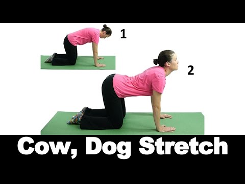 Side Planks Ask Doctor Jo