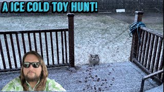 The Last ICE Cold Toy Hunt Of The Year?