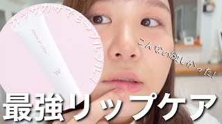 【乾燥唇】リップケア下地が凄すぎた！！【Wonjungyo ウォンジョンヨ モイストリッププライマー】