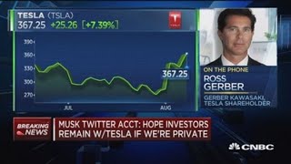 $420/share awfully cheap for Tesla: Tesla shareholder