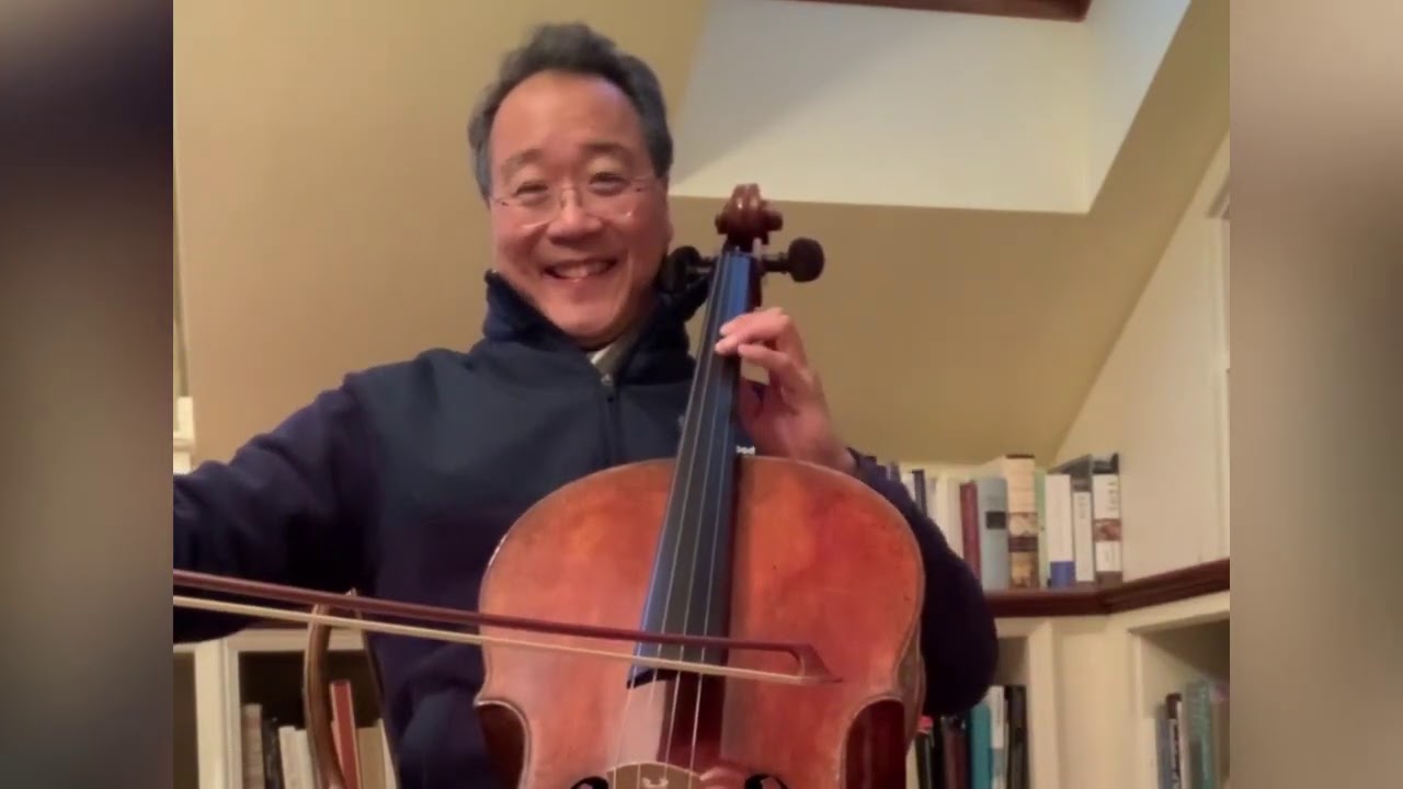 #SongsOfComfort: Tree Tree Tree