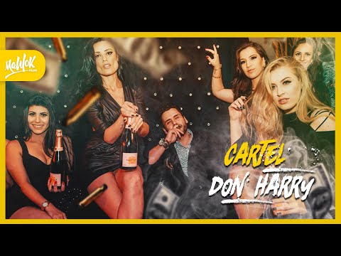 Cartel do Harry 2018  - Aftermovie (Box Lounge)