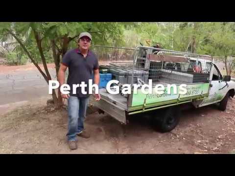 Ego Multi tool Review - 3 Month of use - Pole Saw, Hedge trimmer, lawn Edger, Brush cutter