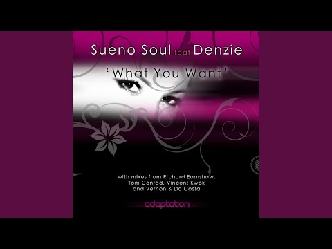 What You Want (Original Mix) (feat. Denzie)