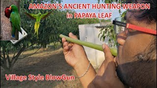 How to make Amazon's Ancient Hunting weapon in Papaya leaf| village style