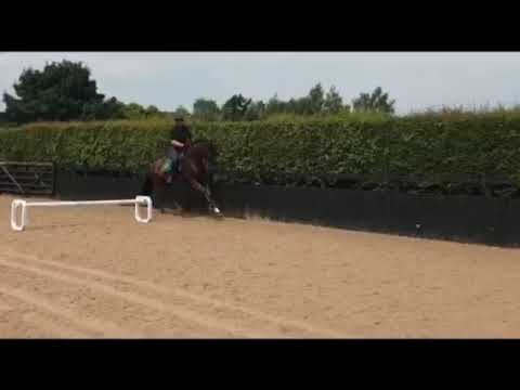 Caunton Devil de Hus (by Don Juan de Hus)