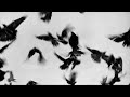 Vanessa Philippe - My Man (Album Trailer) 