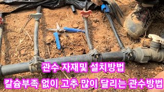 칼슘부족 없이 고추 많이 달리는 관수 방법~관수자재,점적테이프,점적호스,비닐하우스 텃밭,주말농장,귀농귀촌