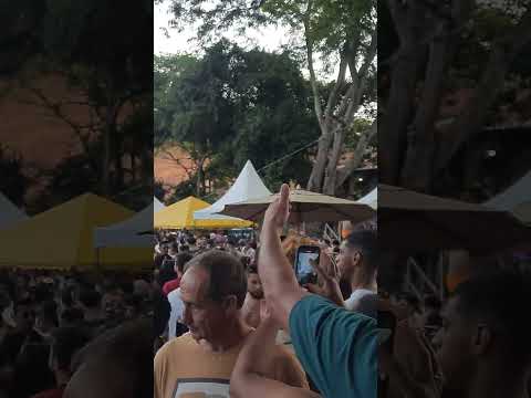 Dom Folia 2025 #domjoaquim #minasgerais #carnaval #2025 #youtube #shorts #festas #axé #brasil #feat