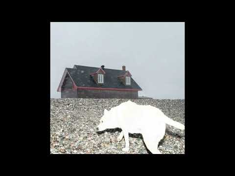 [free for profit] indie rock x midwest emo type beat - "jackal"