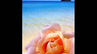 Download lagu Imee Ooi - The Chant of Metta (Pali chanting) mp3 Download lagu Imee Ooi - The Chant of Metta (Pali chanting) mp3