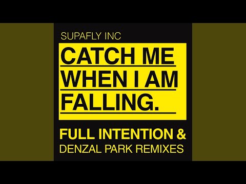 Catch Me When Im Falling (Denzal Park Mix)