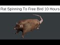 High Quality Spinning Rat 10 Hours