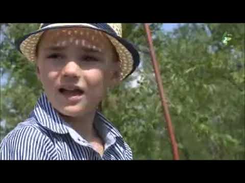 KONJICKI OBEHOVANJA U KERESTURE - Zlatka PEROVIČ